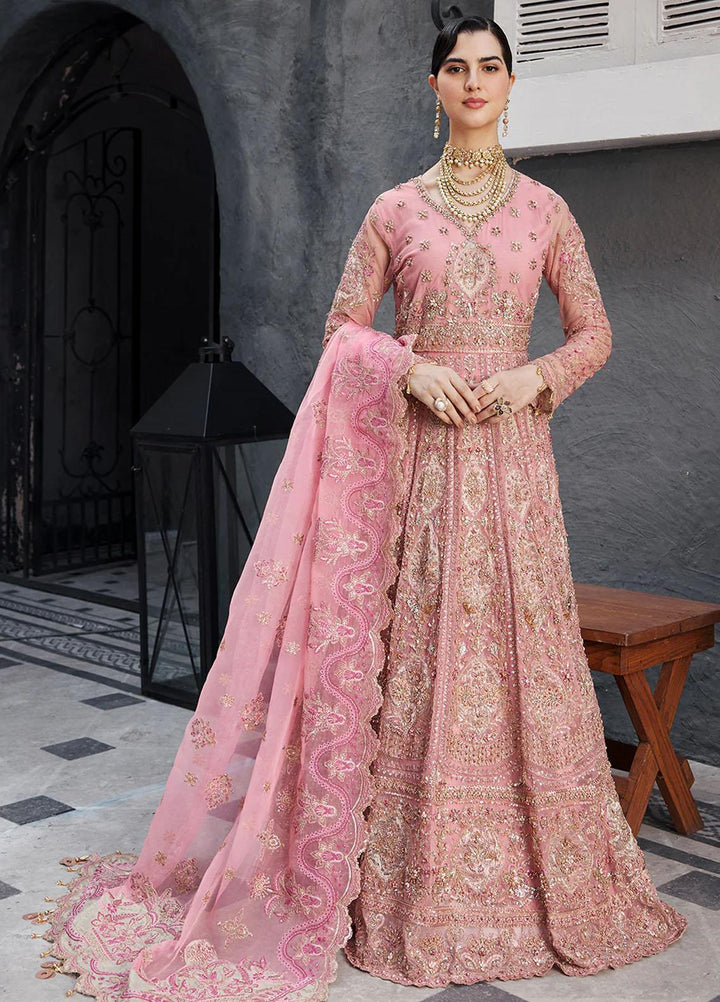 Nawabzadi By Emaan Adeel Embroidered Net Suits Unstitched 3 Piece NZ23EA NW-04 - Luxury Collection