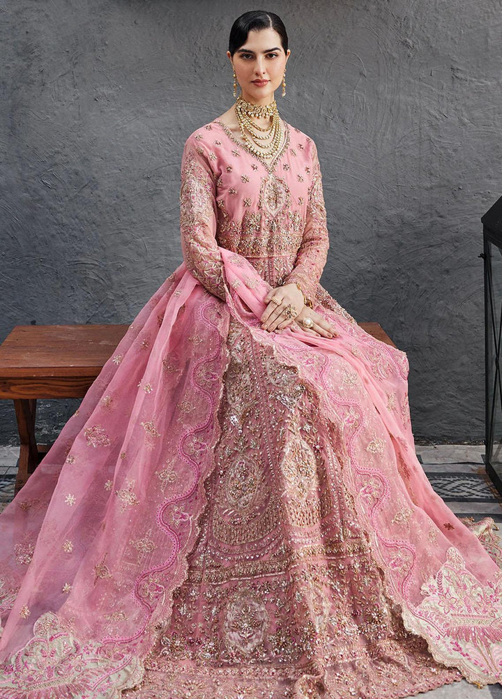 Nawabzadi By Emaan Adeel Embroidered Net Suits Unstitched 3 Piece NZ23EA NW-04 - Luxury Collection