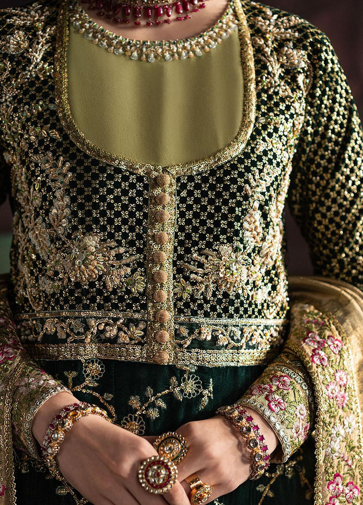 Niloufer By Mushq Embroidered Velvet Suits Unstitched 3 Piece MQ23N MV23-07 Shahinaz - Luxury Collection