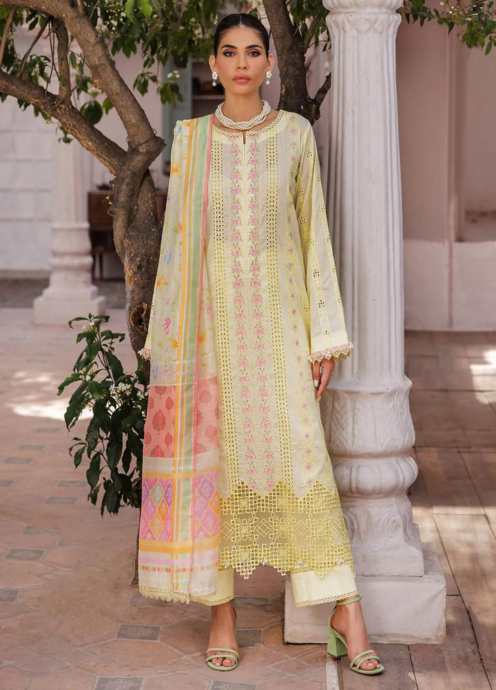 Nissa by RajBari Embroidered Lawn Suit Unstitched 3 Piece RB25N D-09 - Summer Collection