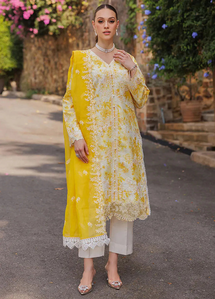 Nissa by Rajbari Embroidered Lawn Suits Unstitched 3 Piece RB25NS D-01 - Summer Collection