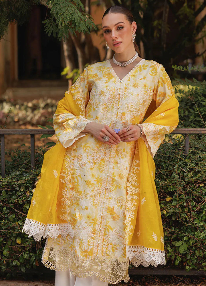 Nissa by Rajbari Embroidered Lawn Suits Unstitched 3 Piece RB25NS D-01 - Summer Collection