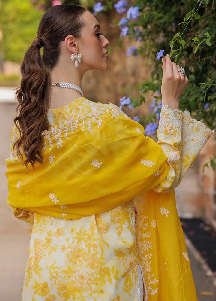 Nissa by Rajbari Embroidered Lawn Suits Unstitched 3 Piece RB25NS D-01 - Summer Collection