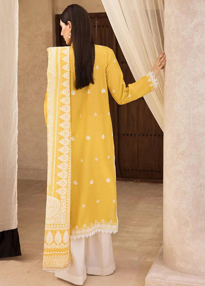 Nissa By RajBari Embroidered Chikankari Schiffli Suits Unstitched 3 Piece RB23NSC D-09 - Summer Collection