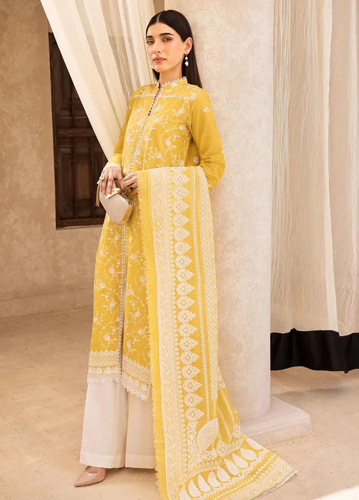Nissa By RajBari Embroidered Chikankari Schiffli Suits Unstitched 3 Piece RB23NSC D-09 - Summer Collection
