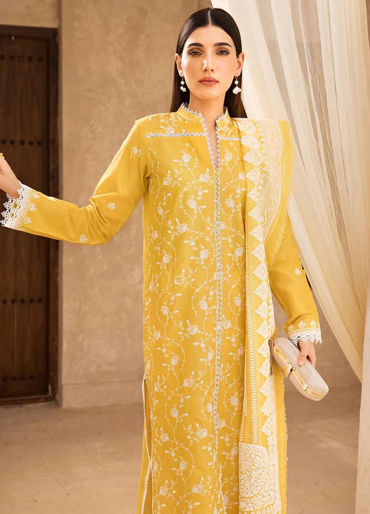 Nissa By RajBari Embroidered Chikankari Schiffli Suits Unstitched 3 Piece RB23NSC D-09 - Summer Collection