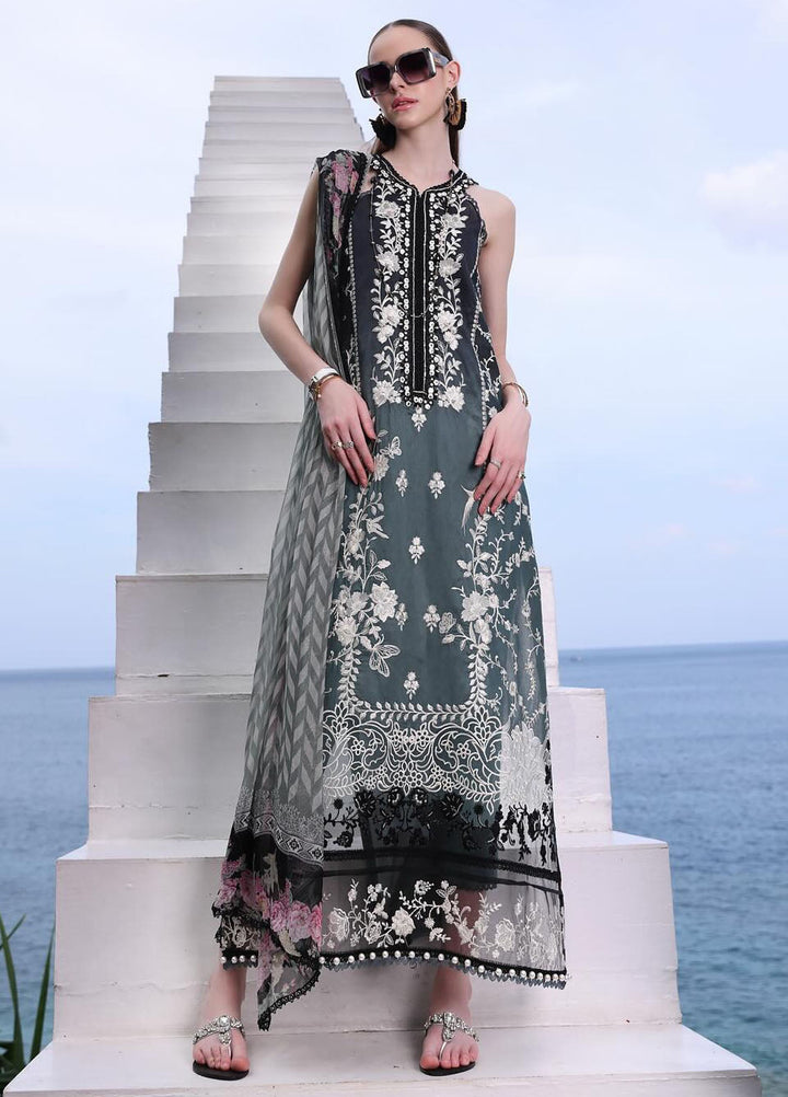 Noor by Saadia Asad Embroidered Lawn Suits Unstitched 3 Piece NSA24LP D2-B - Summer Collection