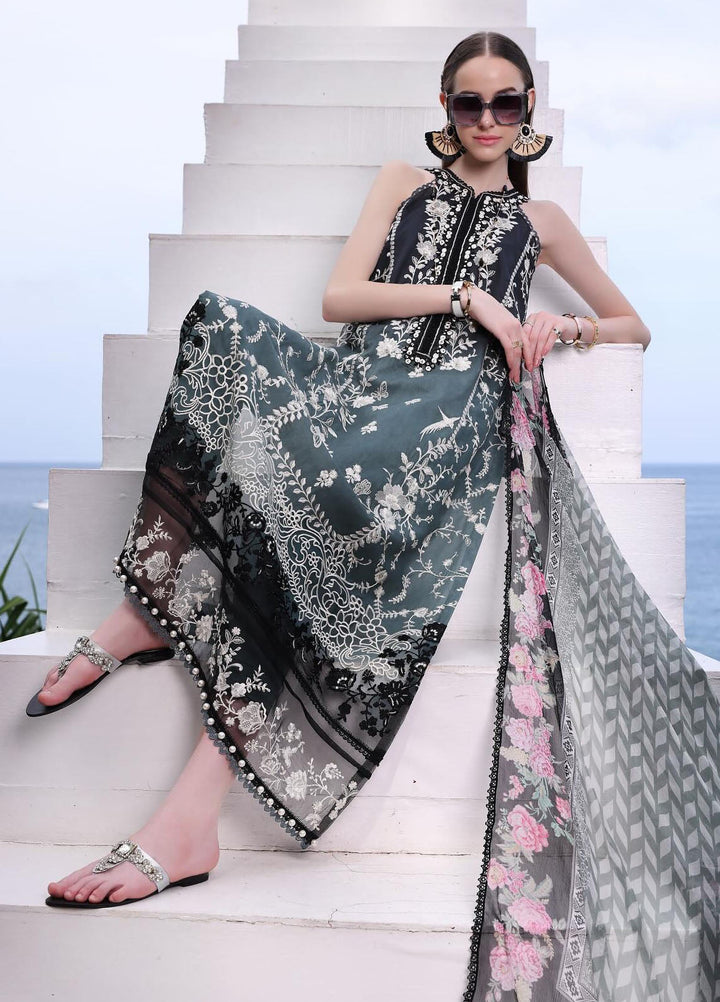 Noor by Saadia Asad Embroidered Lawn Suits Unstitched 3 Piece NSA24LP D2-B - Summer Collection