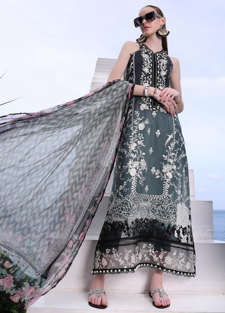 Noor by Saadia Asad Embroidered Lawn Suits Unstitched 3 Piece NSA24LP D2-B - Summer Collection