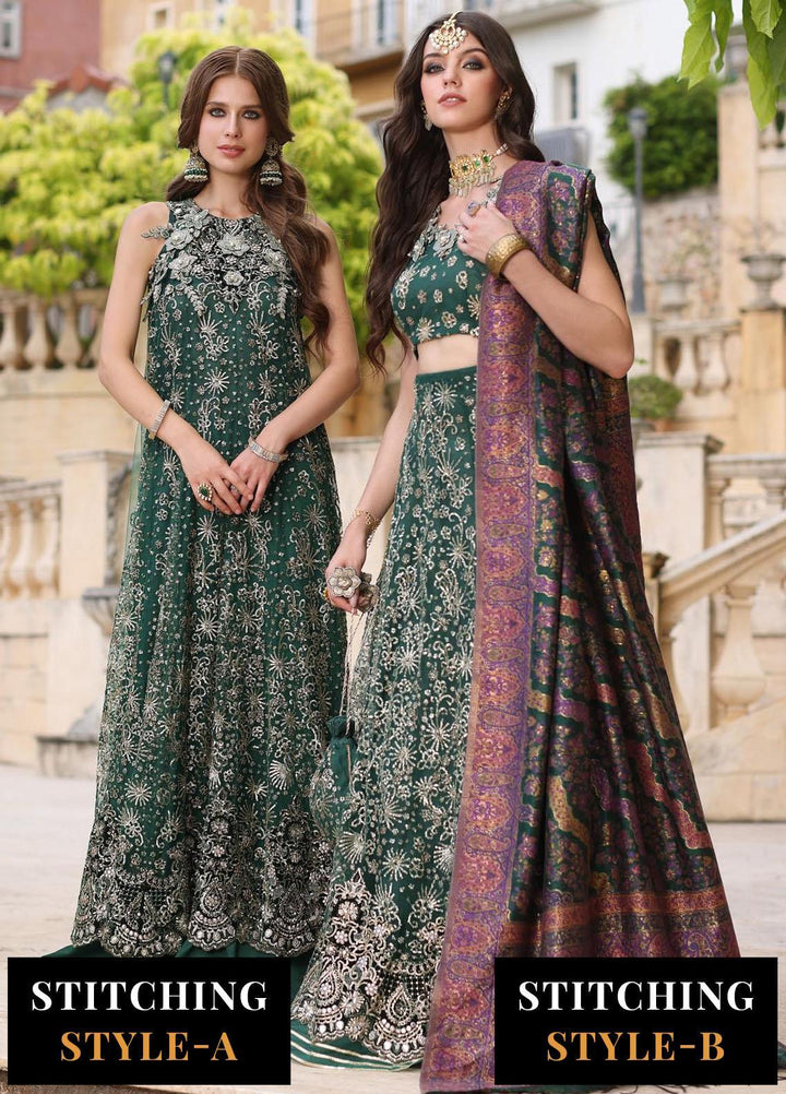 Noor Kaani By Saadia Asad Embroidered Net Suits Unstitched 3 Piece NSA23H D1 Green - Luxury Collection