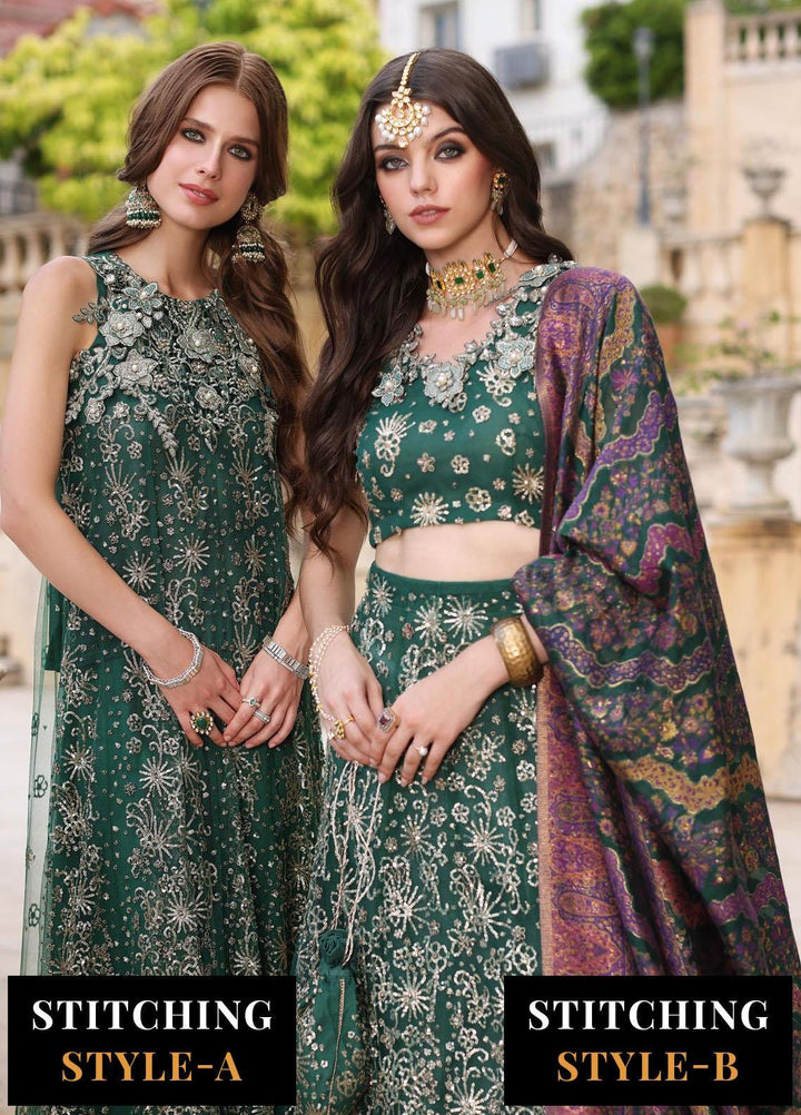 Noor Kaani By Saadia Asad Embroidered Net Suits Unstitched 3 Piece NSA23H D1 Green - Luxury Collection