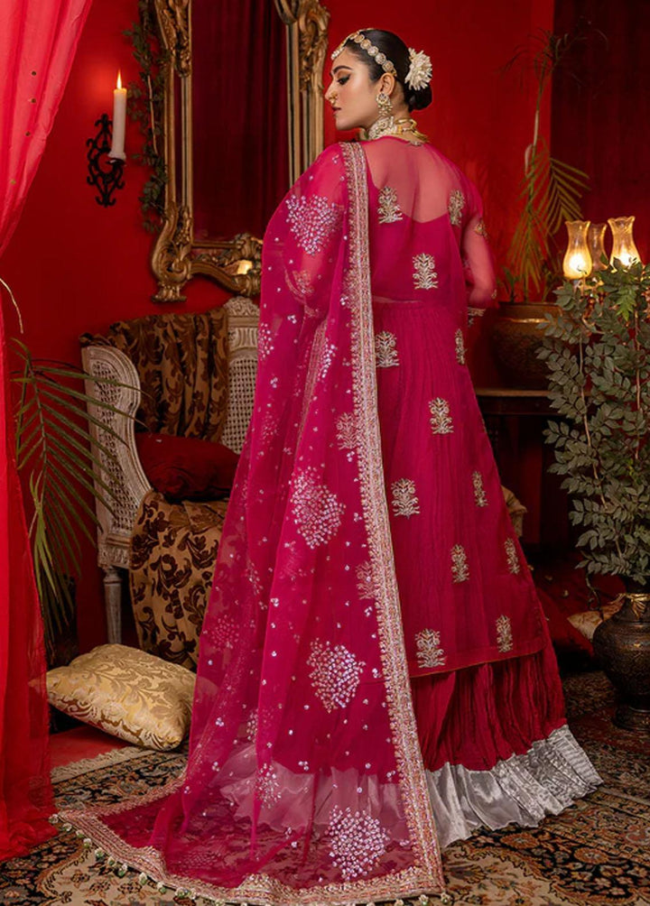 Nooraniyat By Bin Ilyas Embroidered Organza Suits Unstitched 3 Piece BI23N D-6021 - Luxury Collection