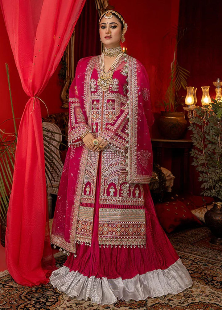 Nooraniyat By Bin Ilyas Embroidered Organza Suits Unstitched 3 Piece BI23N D-6021 - Luxury Collection