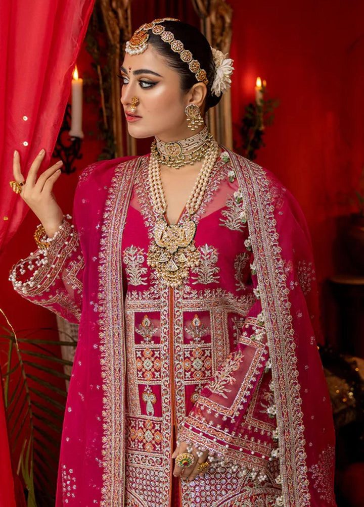 Nooraniyat By Bin Ilyas Embroidered Organza Suits Unstitched 3 Piece BI23N D-6021 - Luxury Collection