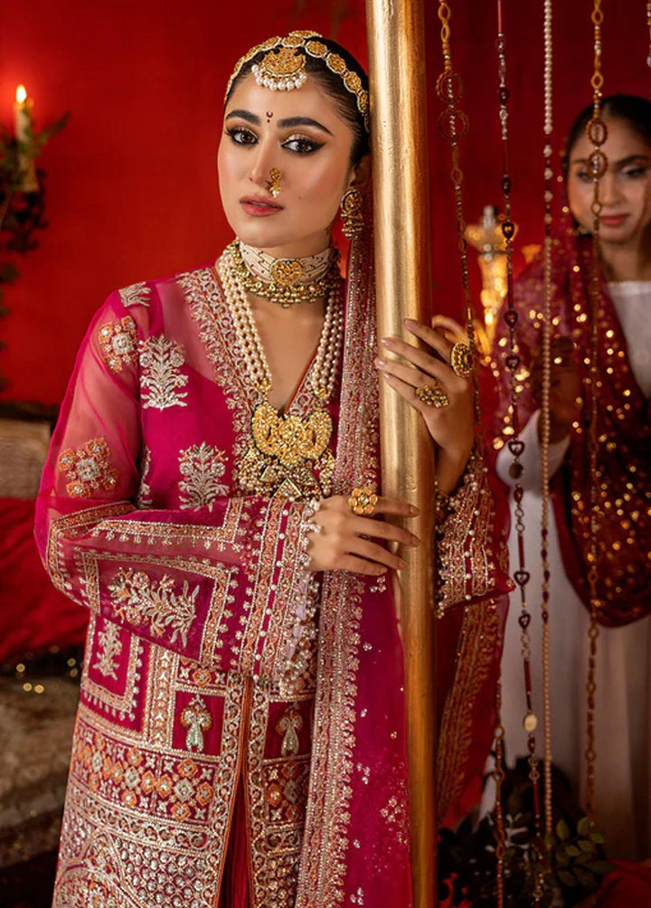 Nooraniyat By Bin Ilyas Embroidered Organza Suits Unstitched 3 Piece BI23N D-6021 - Luxury Collection