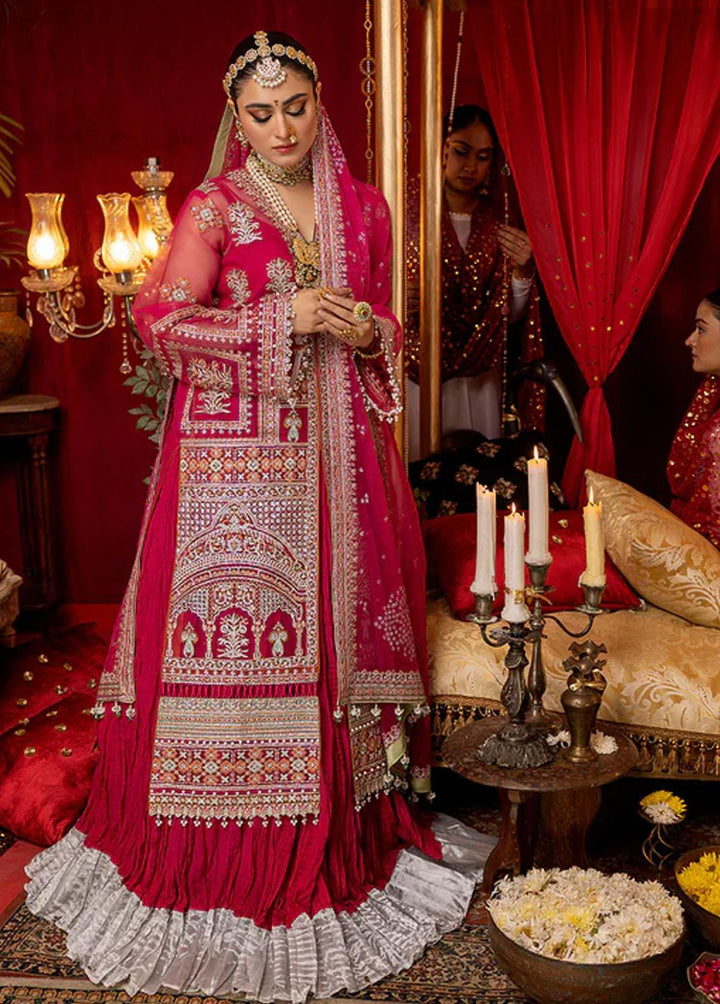 Nooraniyat By Bin Ilyas Embroidered Organza Suits Unstitched 3 Piece BI23N D-6021 - Luxury Collection