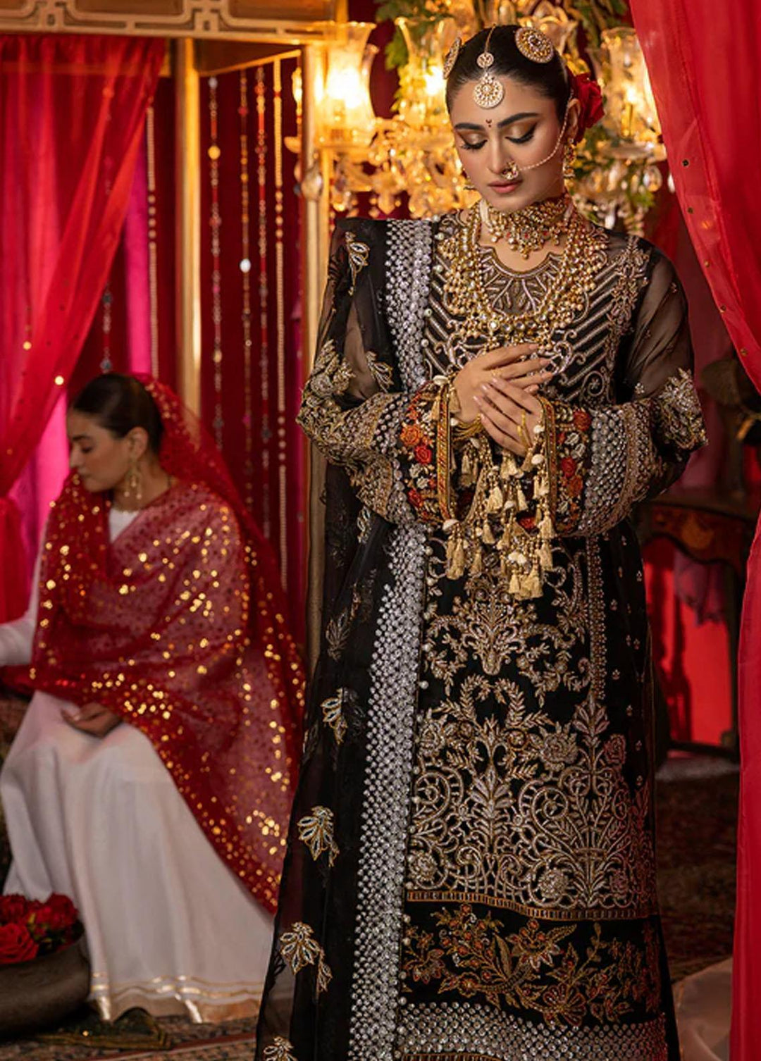 Nooraniyat By Bin Ilyas Embroidered Organza Suits Unstitched 3 Piece BI23N D-6022 - Luxury Collection