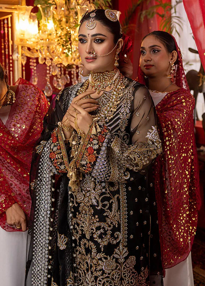 Nooraniyat By Bin Ilyas Embroidered Organza Suits Unstitched 3 Piece BI23N D-6022 - Luxury Collection