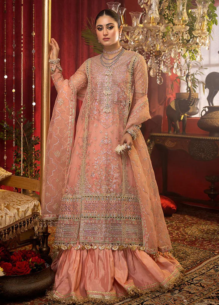 Nooraniyat By Bin Ilyas Embroidered Organza Suits Unstitched 3 Piece BI23N D-6023 - Luxury Collection