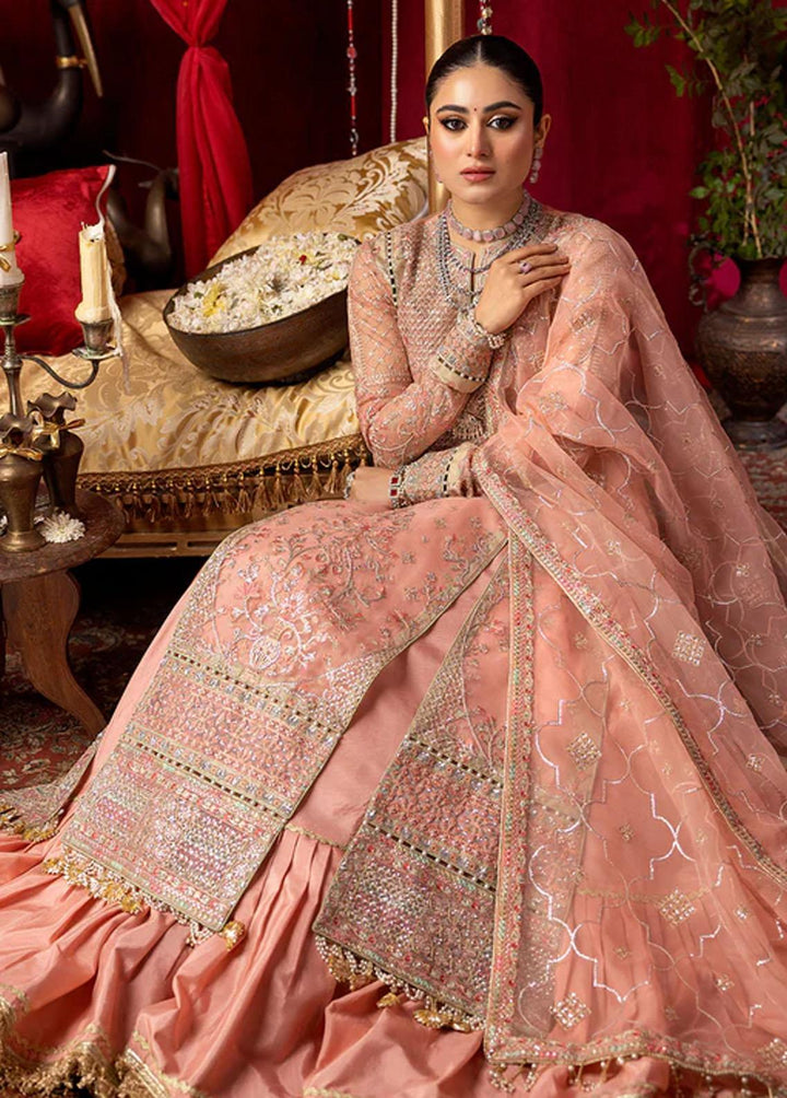 Nooraniyat By Bin Ilyas Embroidered Organza Suits Unstitched 3 Piece BI23N D-6023 - Luxury Collection