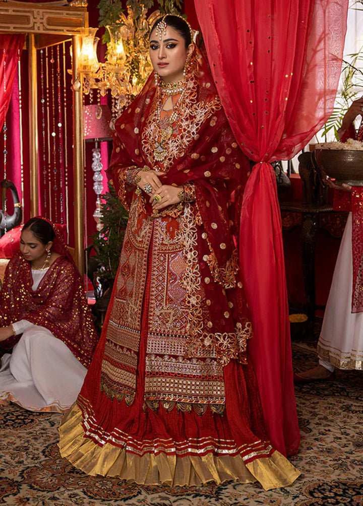 Nooraniyat By Bin Ilyas Embroidered Organza Suits Unstitched 3 Piece BI23N D-6024 - Luxury Collection