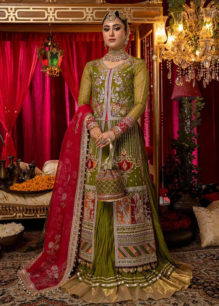 Nooraniyat By Bin Ilyas Embroidered Organza Suits Unstitched 3 Piece BI23N D-6025 - Luxury Collection