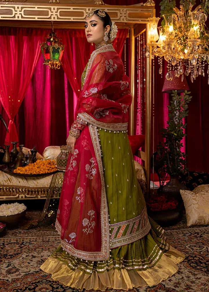 Nooraniyat By Bin Ilyas Embroidered Organza Suits Unstitched 3 Piece BI23N D-6025 - Luxury Collection