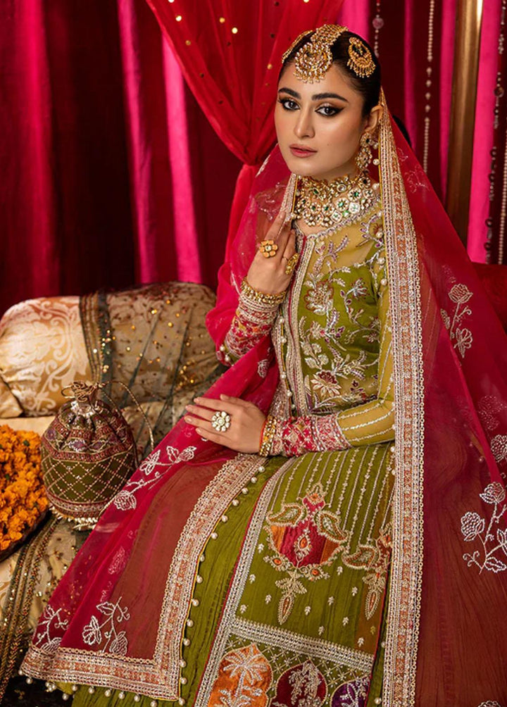 Nooraniyat By Bin Ilyas Embroidered Organza Suits Unstitched 3 Piece BI23N D-6025 - Luxury Collection