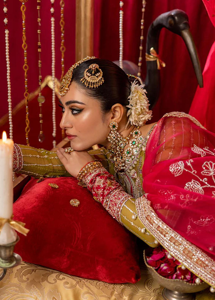 Nooraniyat By Bin Ilyas Embroidered Organza Suits Unstitched 3 Piece BI23N D-6025 - Luxury Collection