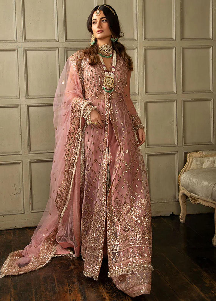 Nur By Sobia Nazir Embroidered Net Suits Unstitched 4 Piece SN23NU N23-03 - Festive Collection