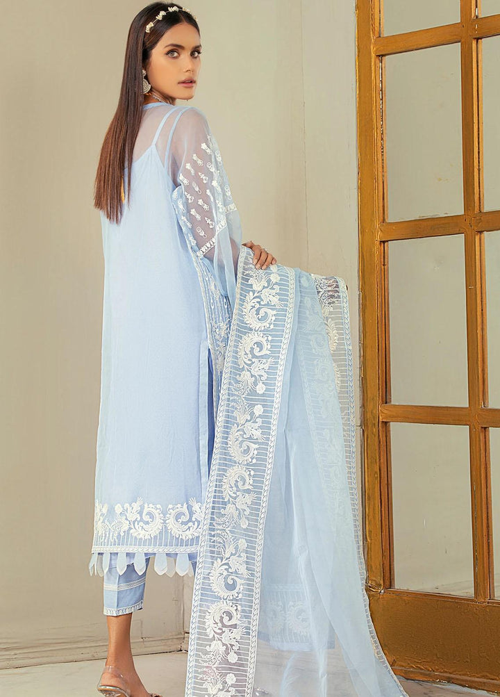 Nurani By Elegance Embroidered Organza Suits Unstitched 3 Piece ELG21N MUNA - Festive Collection