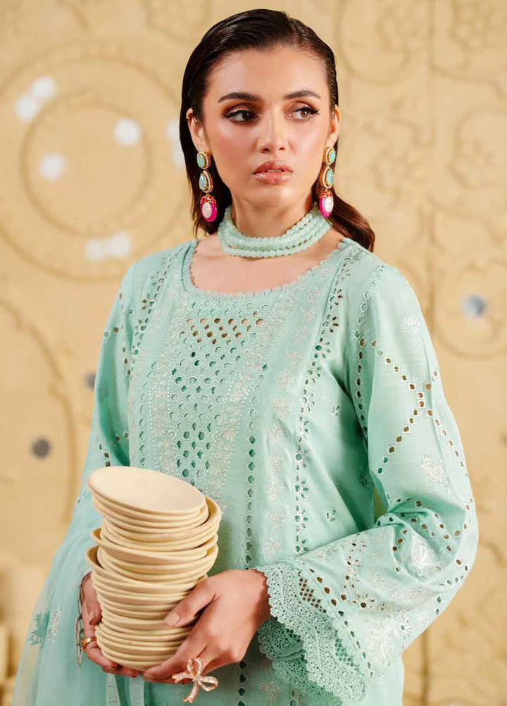 Nureh Embroidered Karandi Suits Unstitched 4 Piece NU25EK NE 134 - Winter Collection