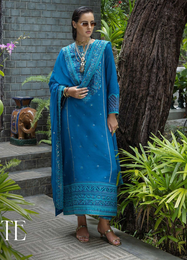 Nuvera by Mushq Hemline Embroidered Raw Silk Suits Unstitched 3 Piece MQ25NF D-07 Marisette - Festive Collection