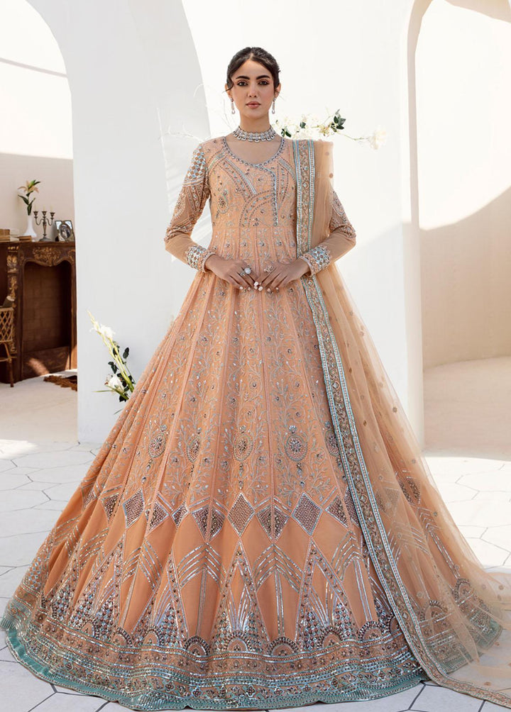 Nyra By Akbar Aslam Embroidered Net Suits Unstitched 4 Piece AA23N 1464 Leah - Wedding Collection