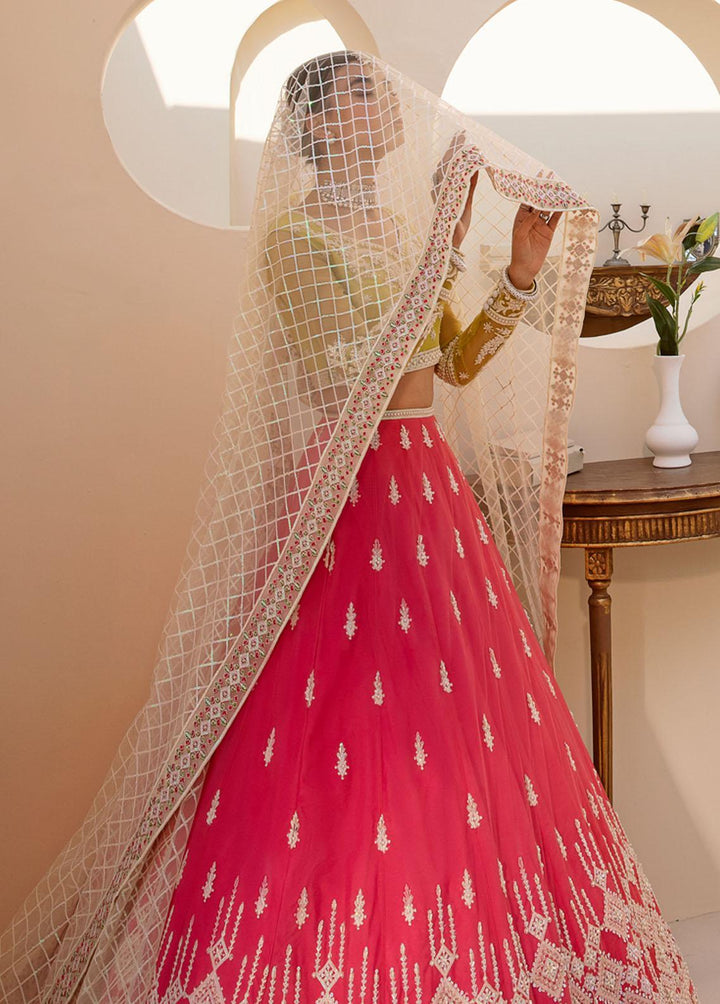 Nyra By Akbar Aslam Embroidered Net Suits Unstitched 4 Piece AA23N 1465 Meyer - Wedding Collection