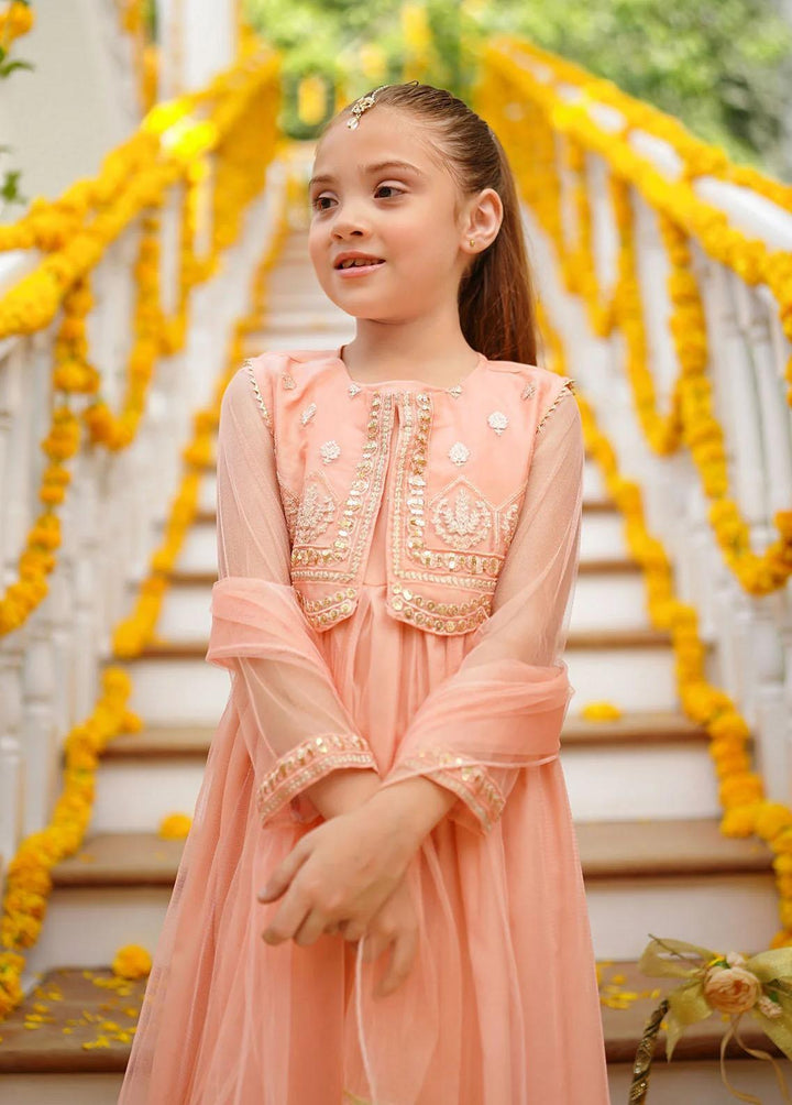 Ochre Net Embroidered 3 Piece Suit for Girls -  OFW-SHD-06