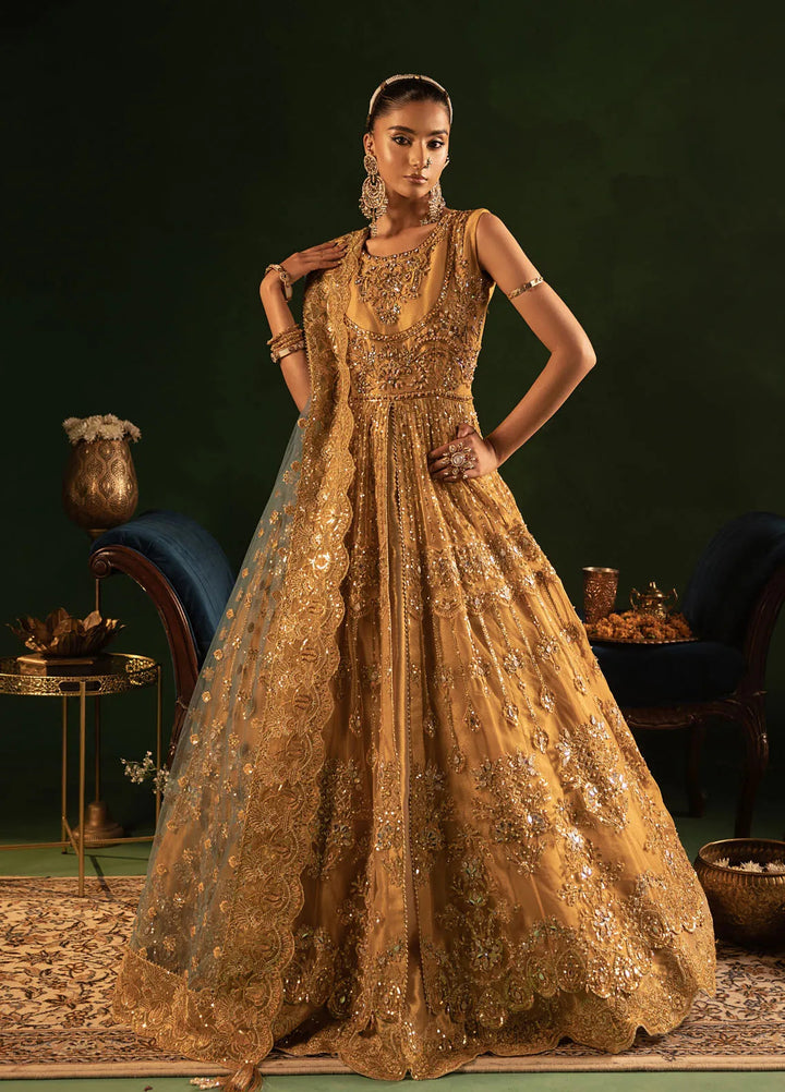 Onora by Diara Couture Embroidered Net Suit Unstitched 4 Piece DC24OW WC-2-05 Ryean - Luxury Collection