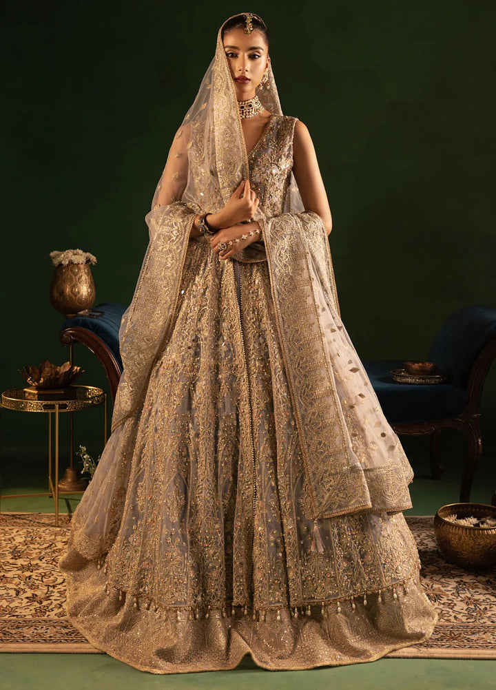 Onora by Diara Couture Embroidered Net Suit Unstitched 4 Piece DC24OW WC-2-09 Sereia - Luxury Collection