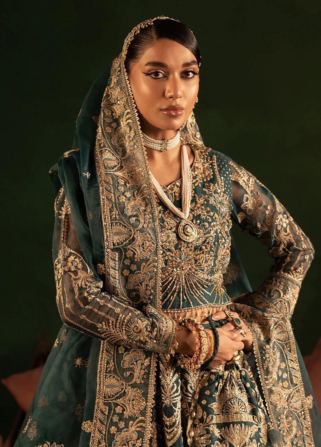 Onora by Diara Couture Embroidered Organza Suit Unstitched 4 Piece DC24OW WC-2-01 Arlyn - Luxury Collection