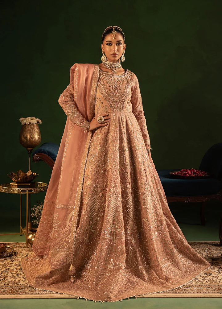 Onora by Diara Couture Embroidered Organza Suit Unstitched 4 Piece DC24OW WC-2-04 Leora - Luxury Collection