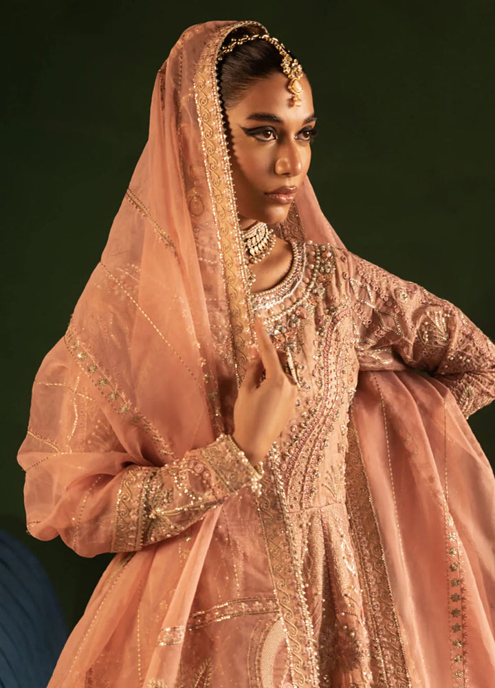 Onora by Diara Couture Embroidered Organza Suit Unstitched 4 Piece DC24OW WC-2-04 Leora - Luxury Collection