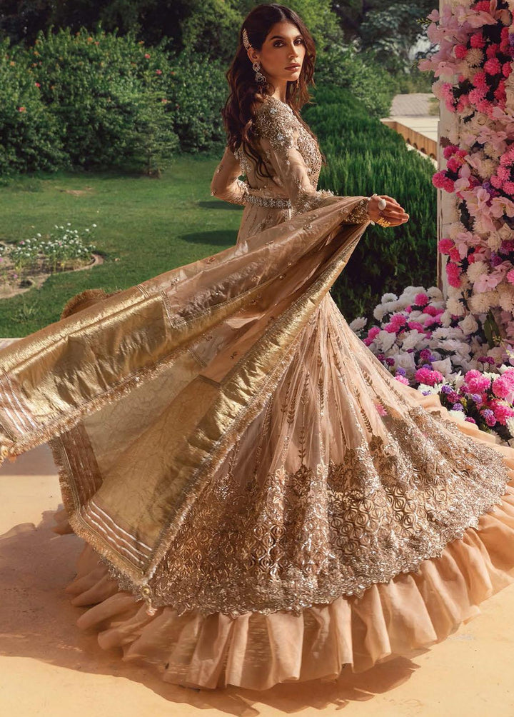 Opulence By Anaya Embroidered Net Suits Unstitched 3 Piece AKC21O AC21-07 Radiance - Luxury Collection