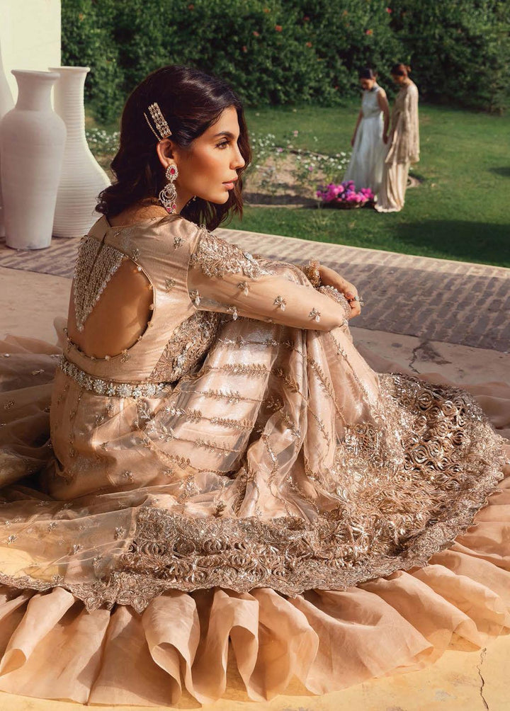 Opulence By Anaya Embroidered Net Suits Unstitched 3 Piece AKC21O AC21-07 Radiance - Luxury Collection