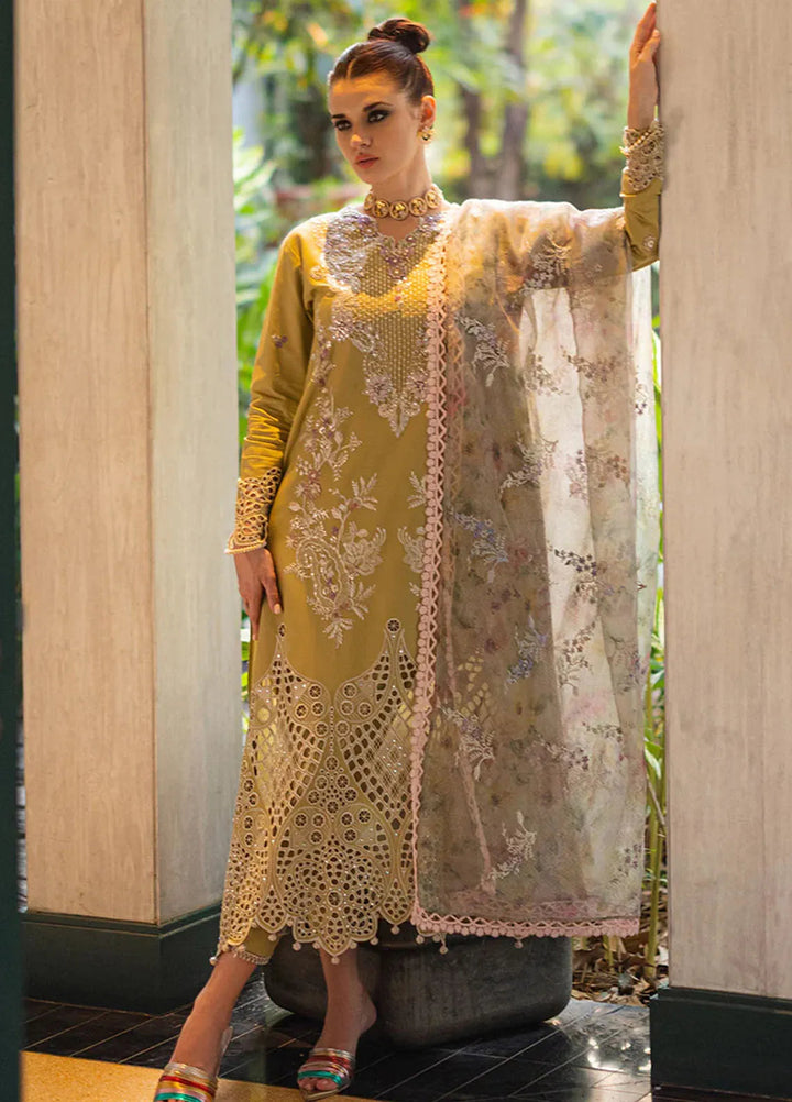 Orient Express By Mushq Embroidered Lawn Suits Unstitched 3 Piece MQ24OE D-07 Delice - Luxury Collection