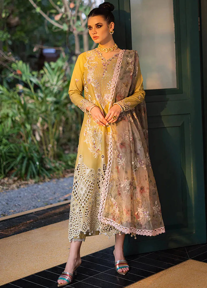 Orient Express By Mushq Embroidered Lawn Suits Unstitched 3 Piece MQ24OE D-07 Delice - Luxury Collection