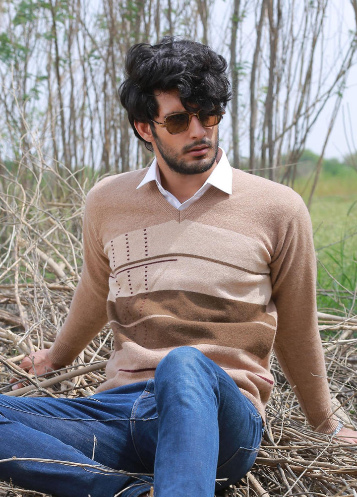 Oxford Woolen Full Sleeves Sweaters for Men -  623 PULLOVER SAVANA