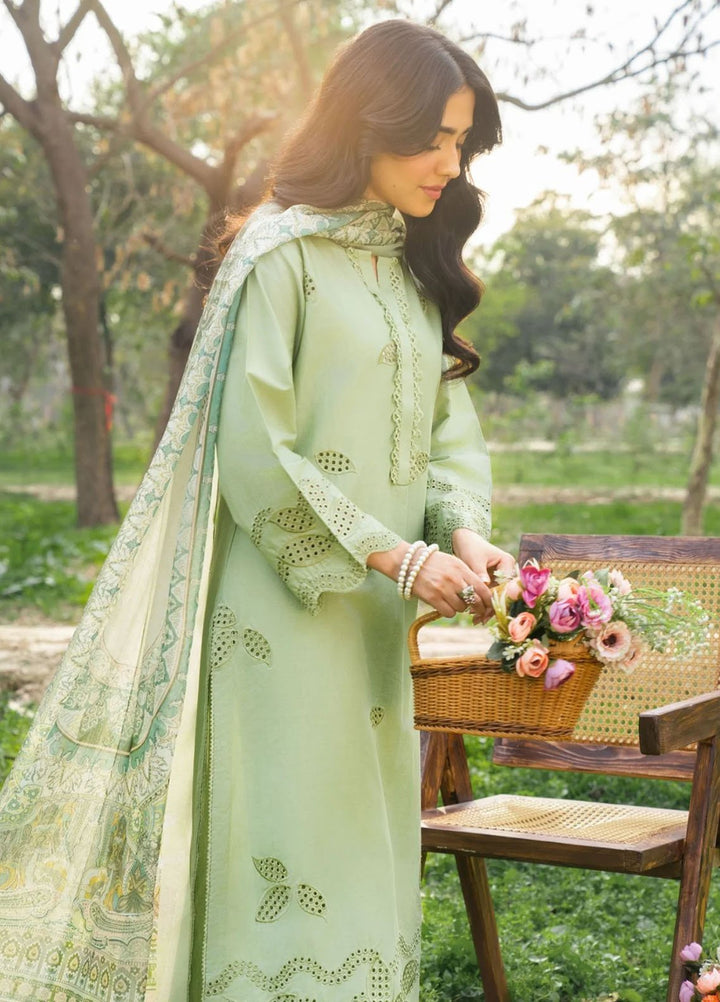 Panache Apparel Pret Embroidered Cotton Lawn 3 Piece Suit Eyelet