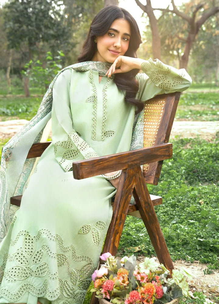 Panache Apparel Pret Embroidered Cotton Lawn 3 Piece Suit Eyelet