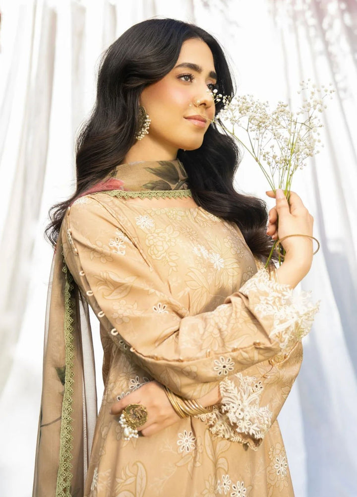 Panache Apparel Pret Embroidered Cotton Lawn 3 Piece Suit Honey Luster