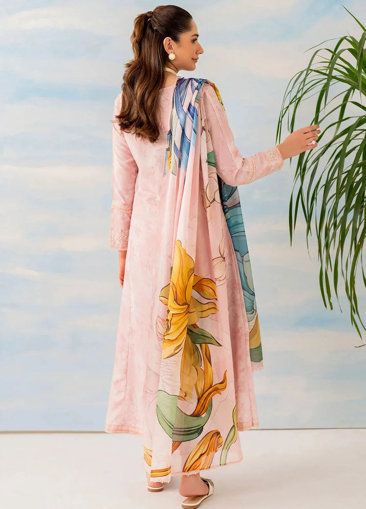 Panache Apparel Pret Embroidered Lawn 3 Piece Suit Elysia